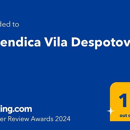 Vikendica Vila Despotovic Копаоник Экстерьер фото