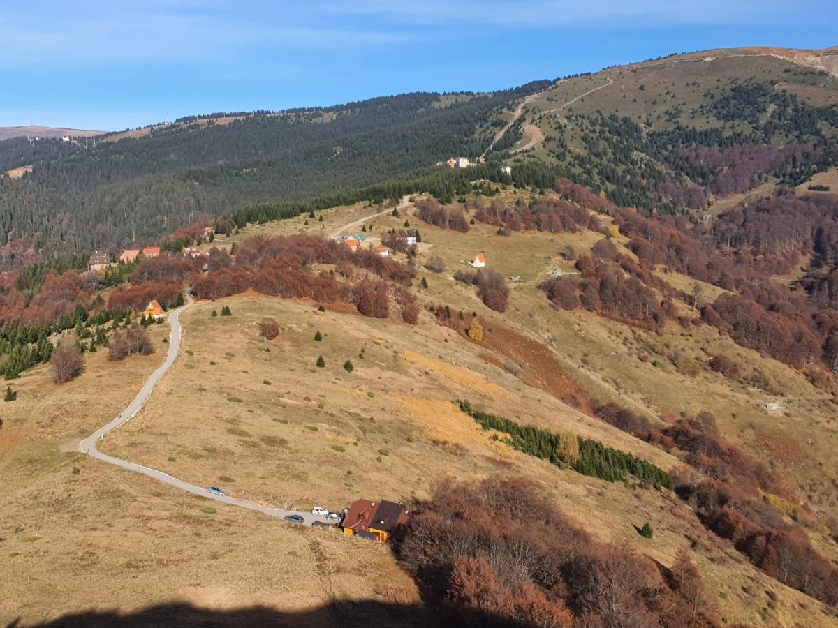 Vikendica Vila Despotovic Копаоник Экстерьер фото