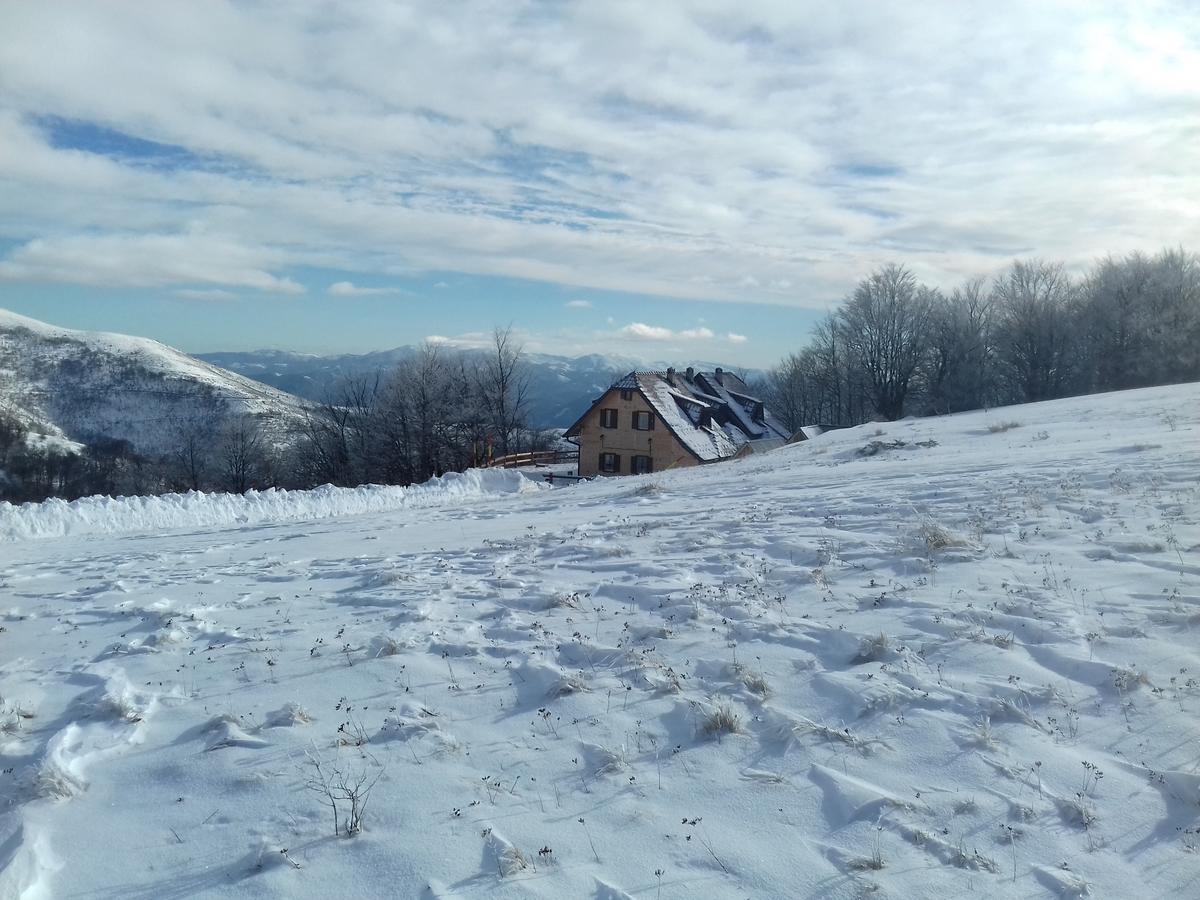 Vikendica Vila Despotovic Копаоник Экстерьер фото