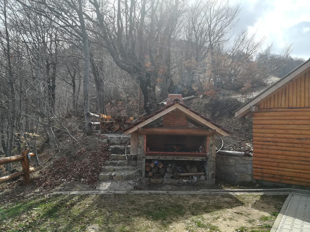Vikendica Vila Despotovic Копаоник Экстерьер фото