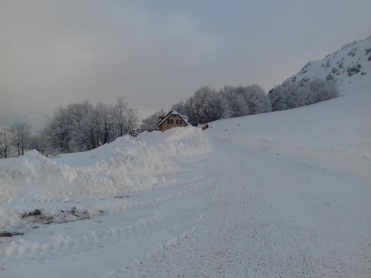 Vikendica Vila Despotovic Копаоник Экстерьер фото