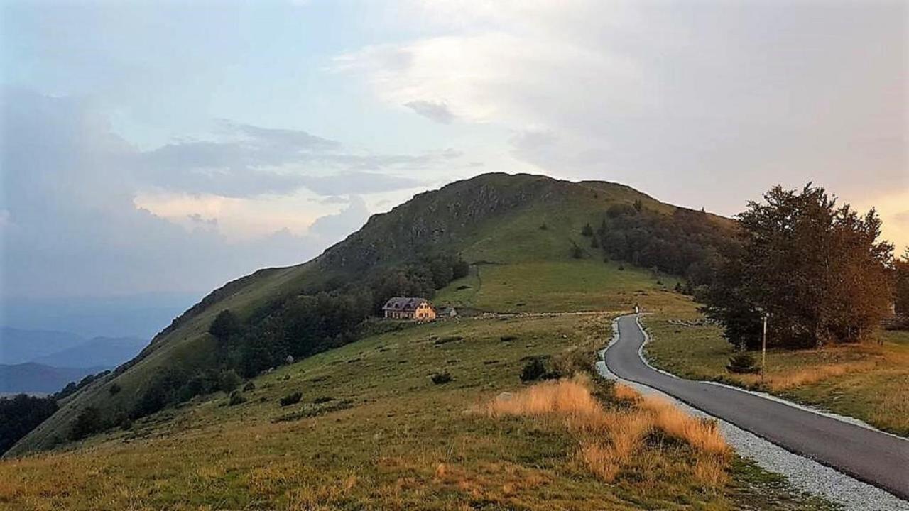 Vikendica Vila Despotovic Копаоник Экстерьер фото